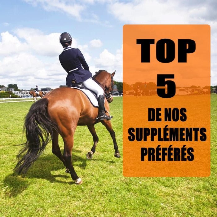 Top 5 de nos suppléments équins préférés